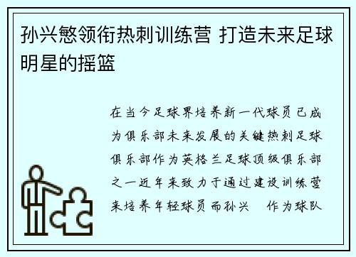 孙兴慜领衔热刺训练营 打造未来足球明星的摇篮